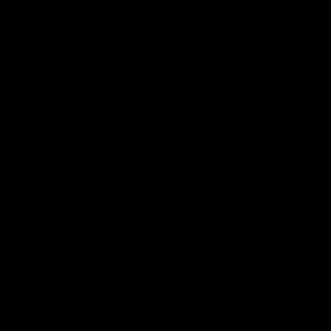 Meet your Posher, Kobe